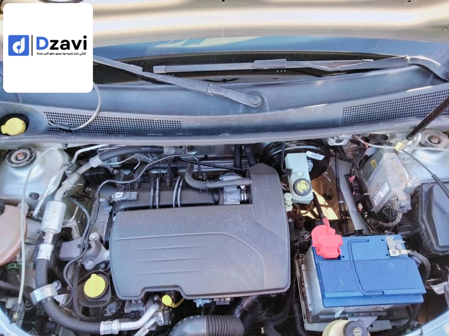 Voitures Dacia à 44 AIN DEFLA