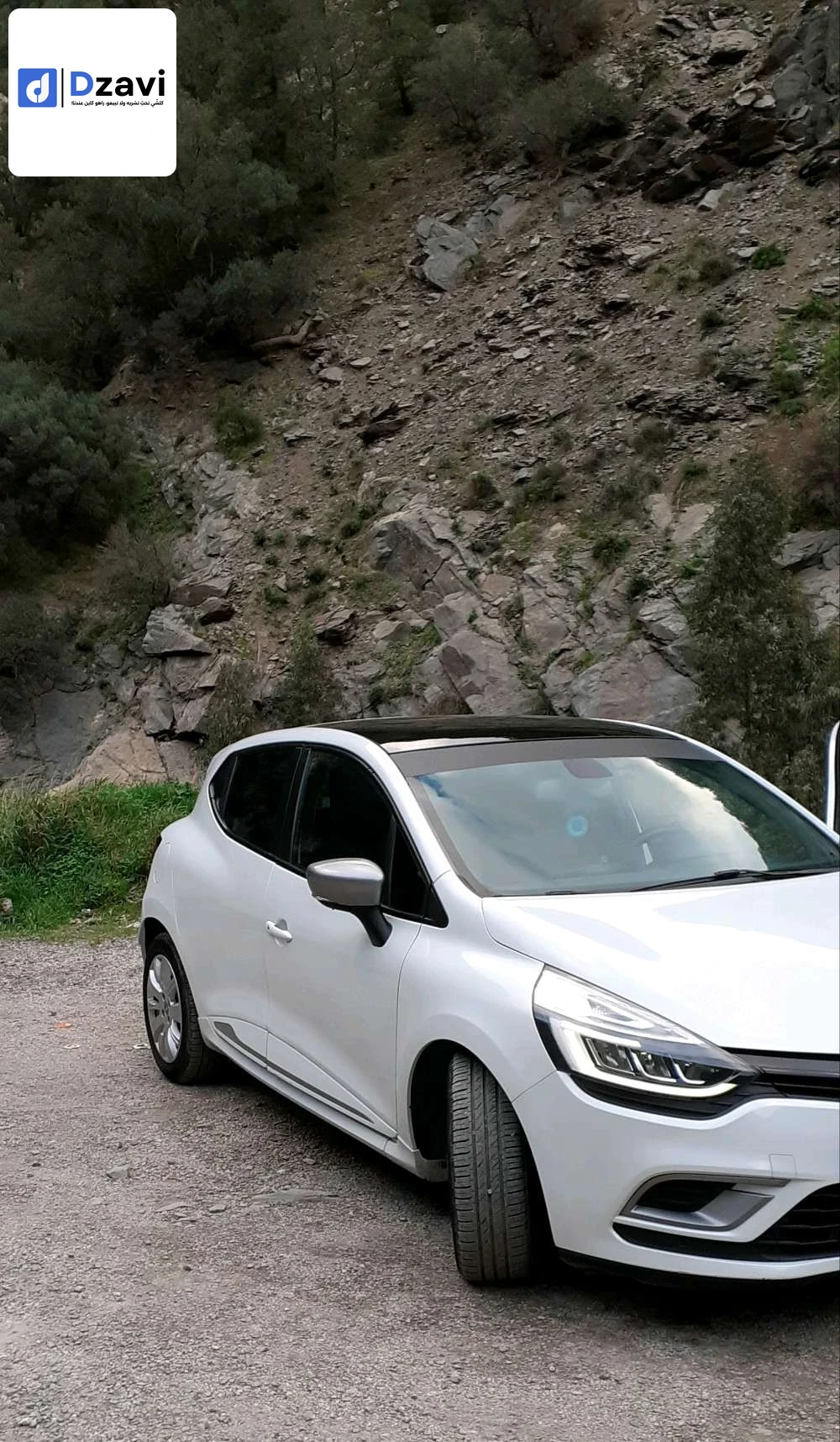 Voitures Renault à 9 BLIDA