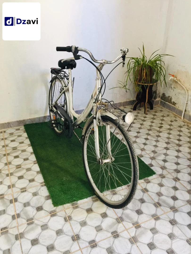 bicyclettes à vendre à 29 MASCARA
