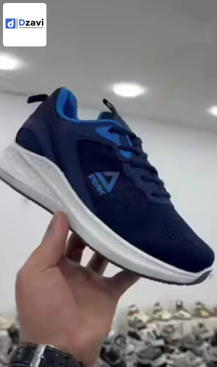 soulier Nike air zoom 