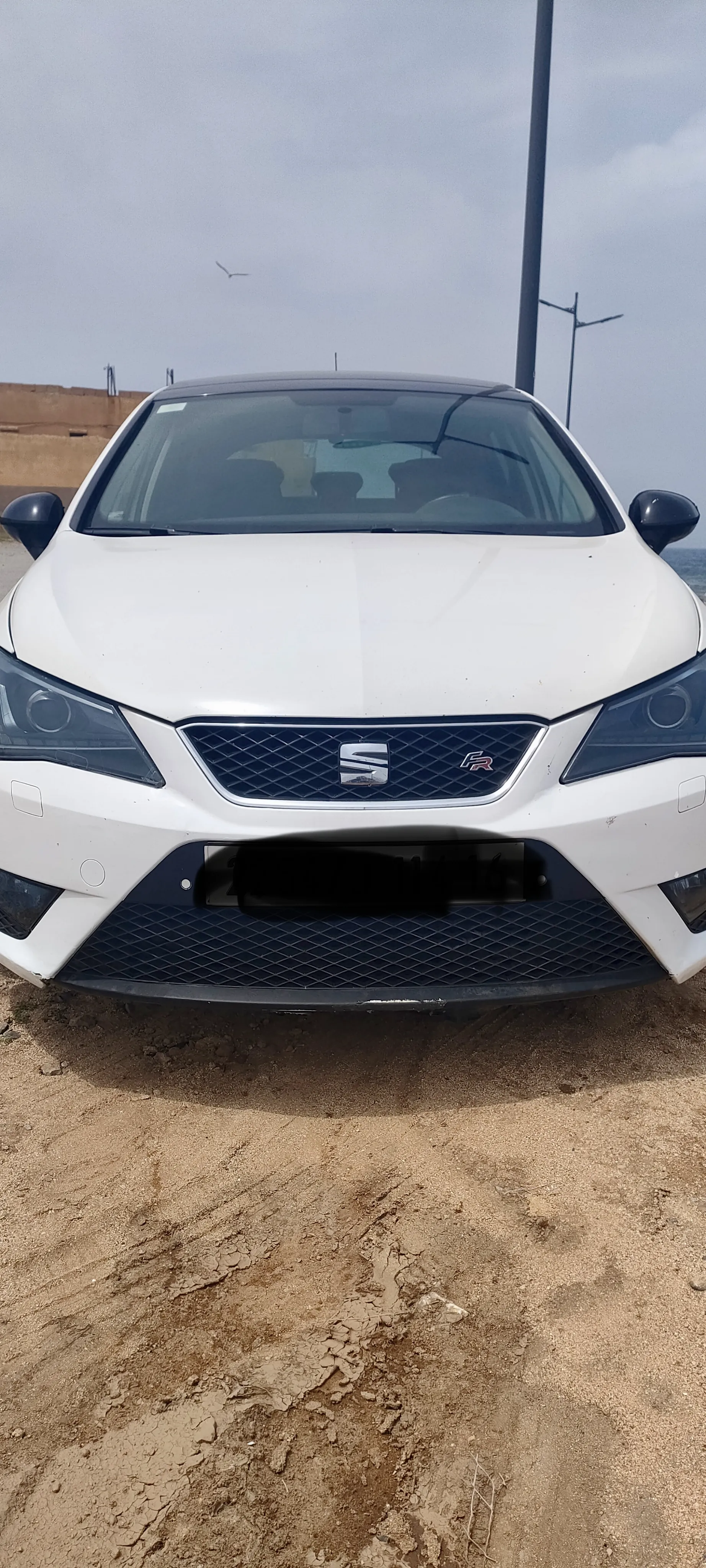Ibiza fr+
