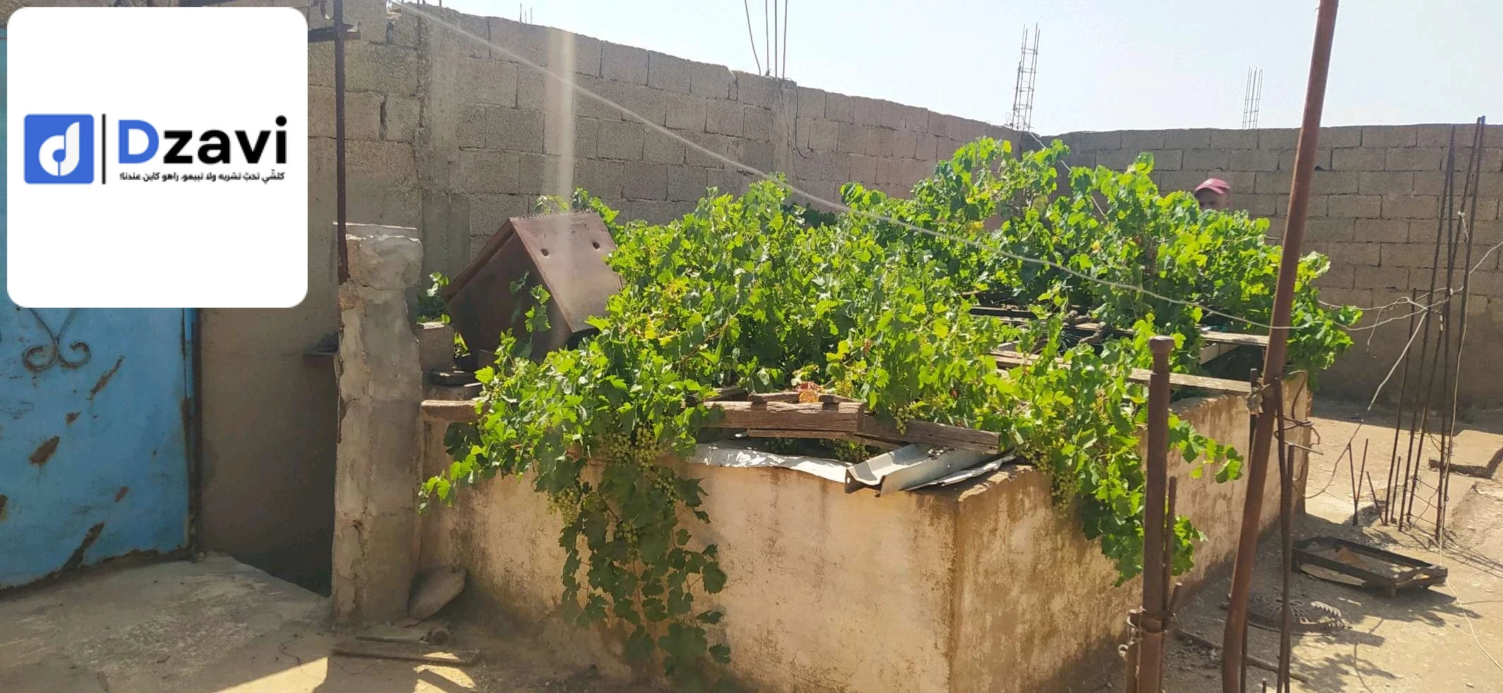 Maisons Traditionnelles À vendre à 29 MASCARA superficie 208 m2