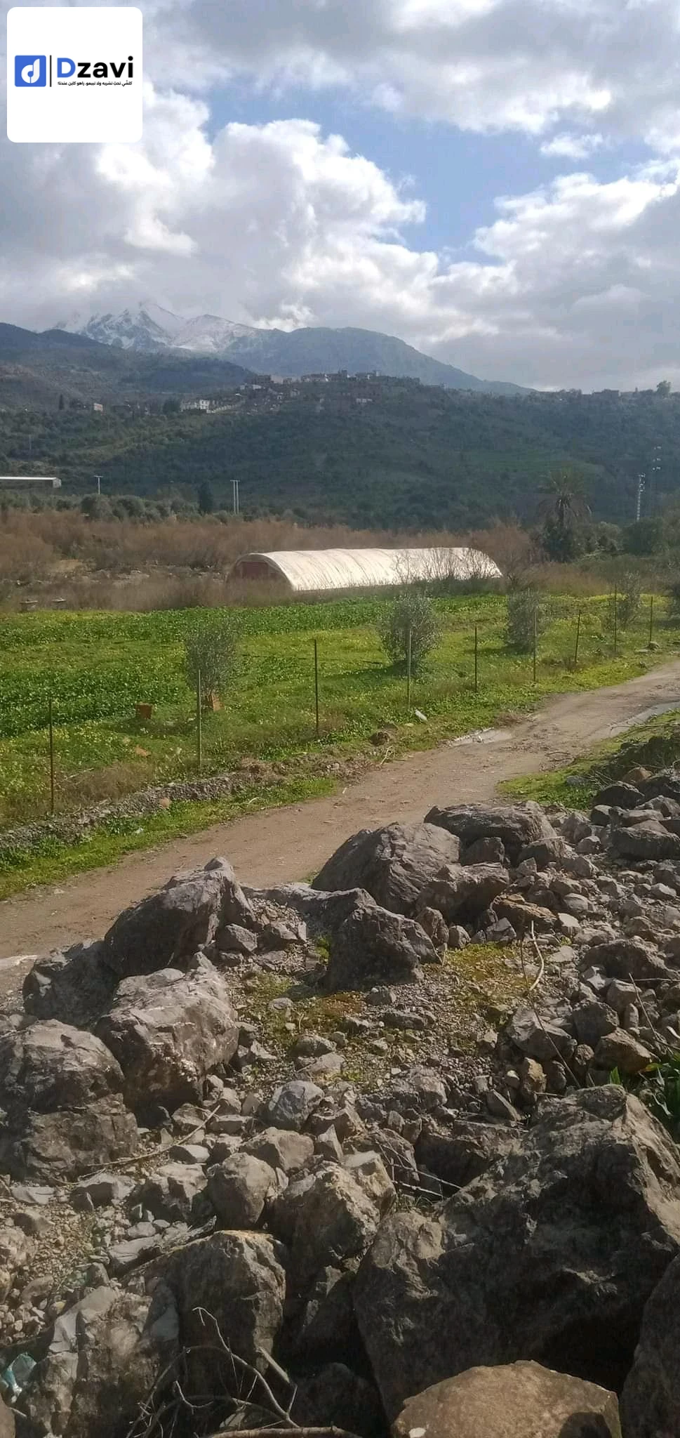 entrepôts A louer à 18 JIJEL superficie 100 m2