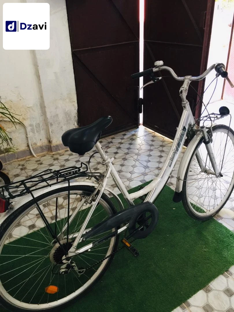 bicyclettes à vendre à 29 MASCARA