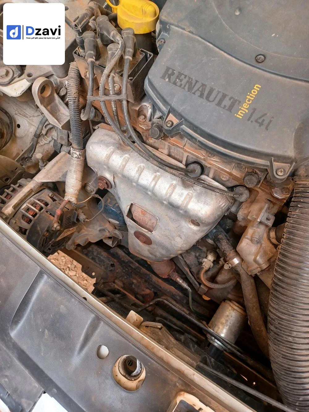 Voitures Renault à 44 AIN DEFLA
