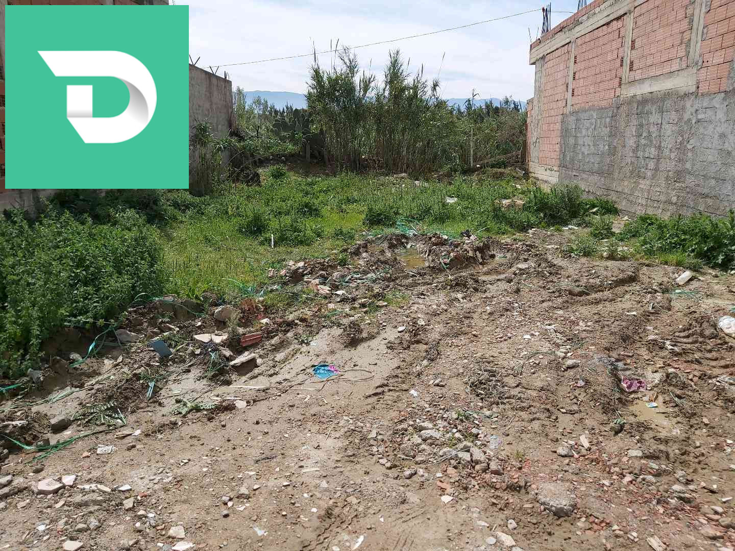 فاز 