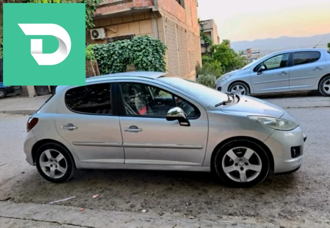 Peugeot 207 2010 43 MILA 