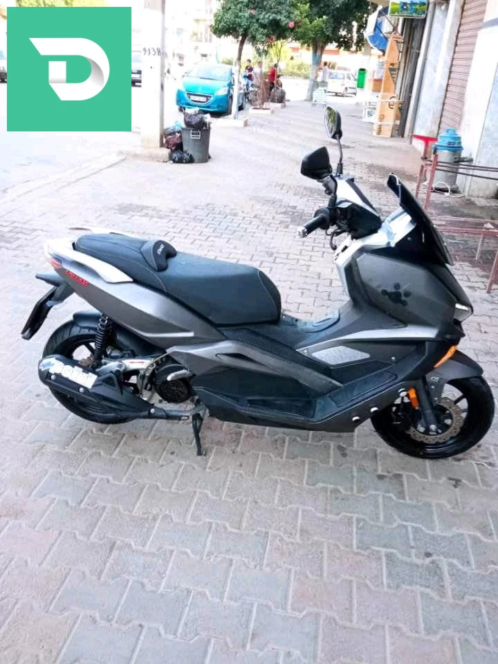 0542631079 