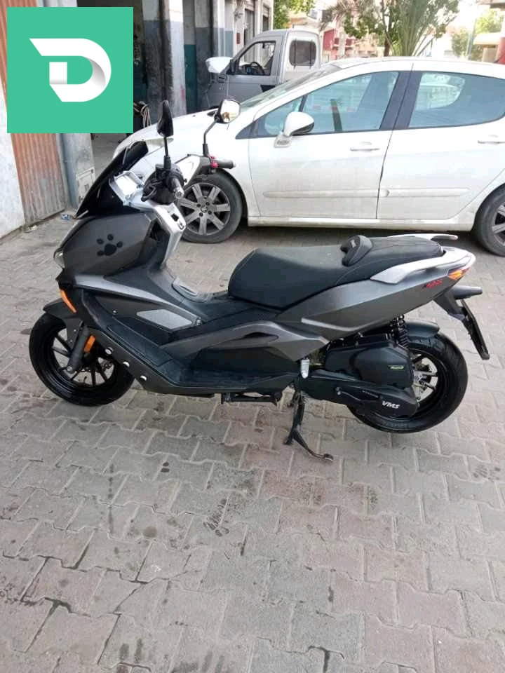 0542631079 
