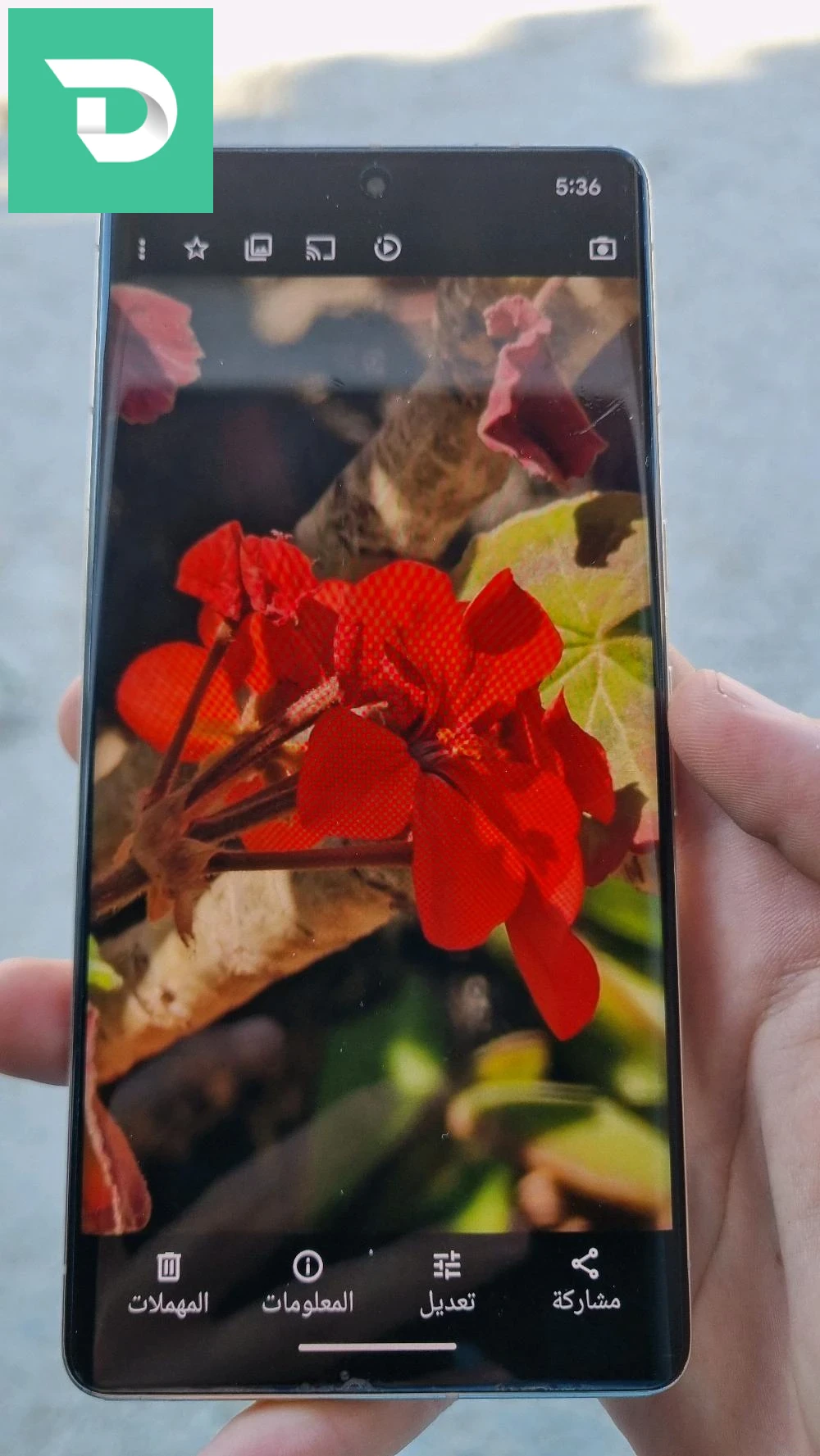 Google pixel 7 pro 