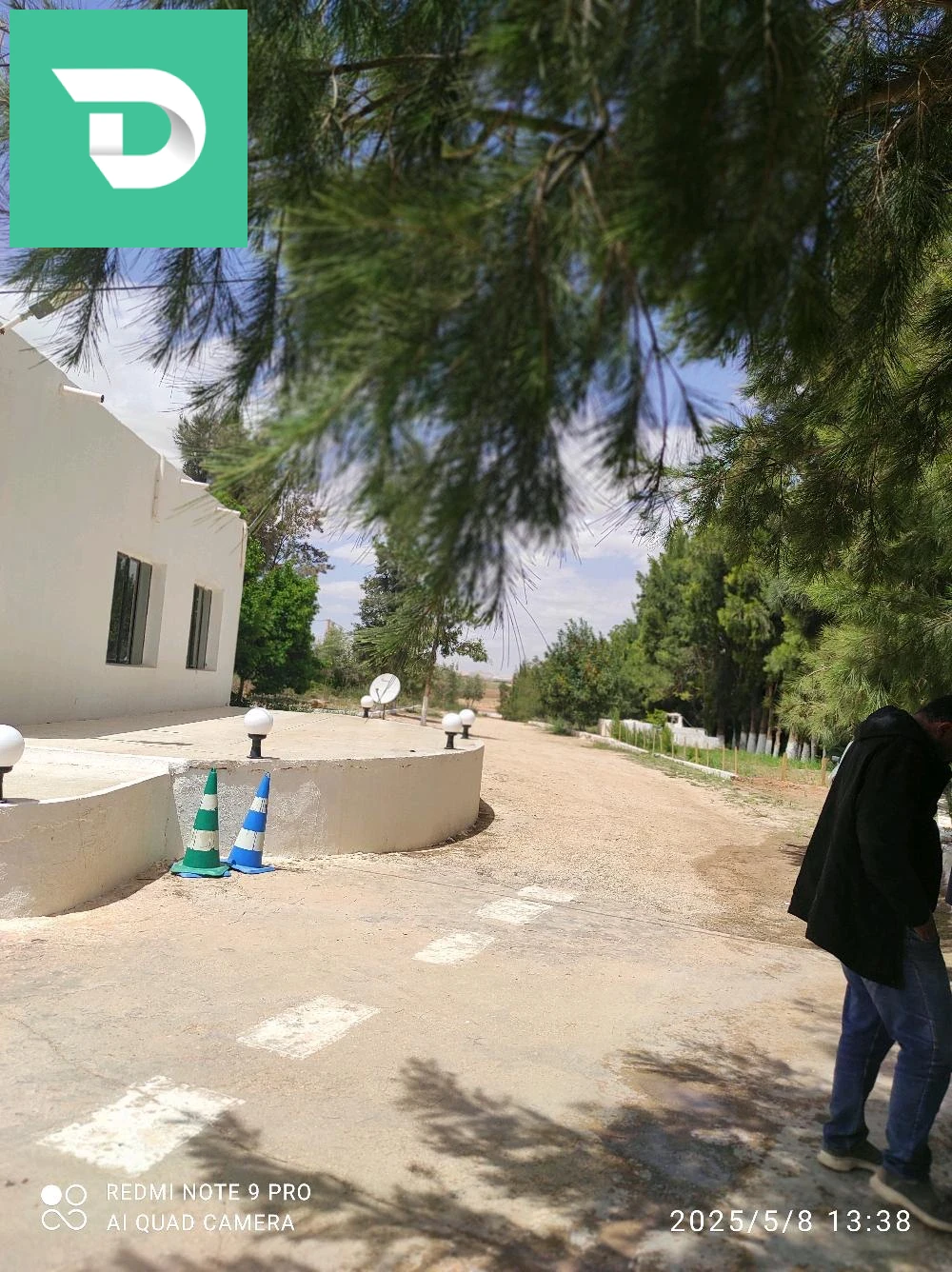dajalfa 