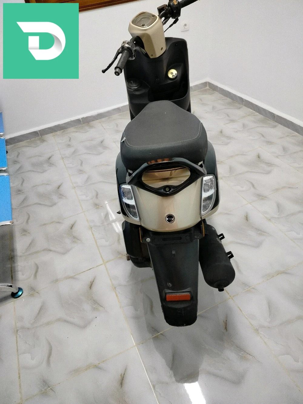 فيسبا 