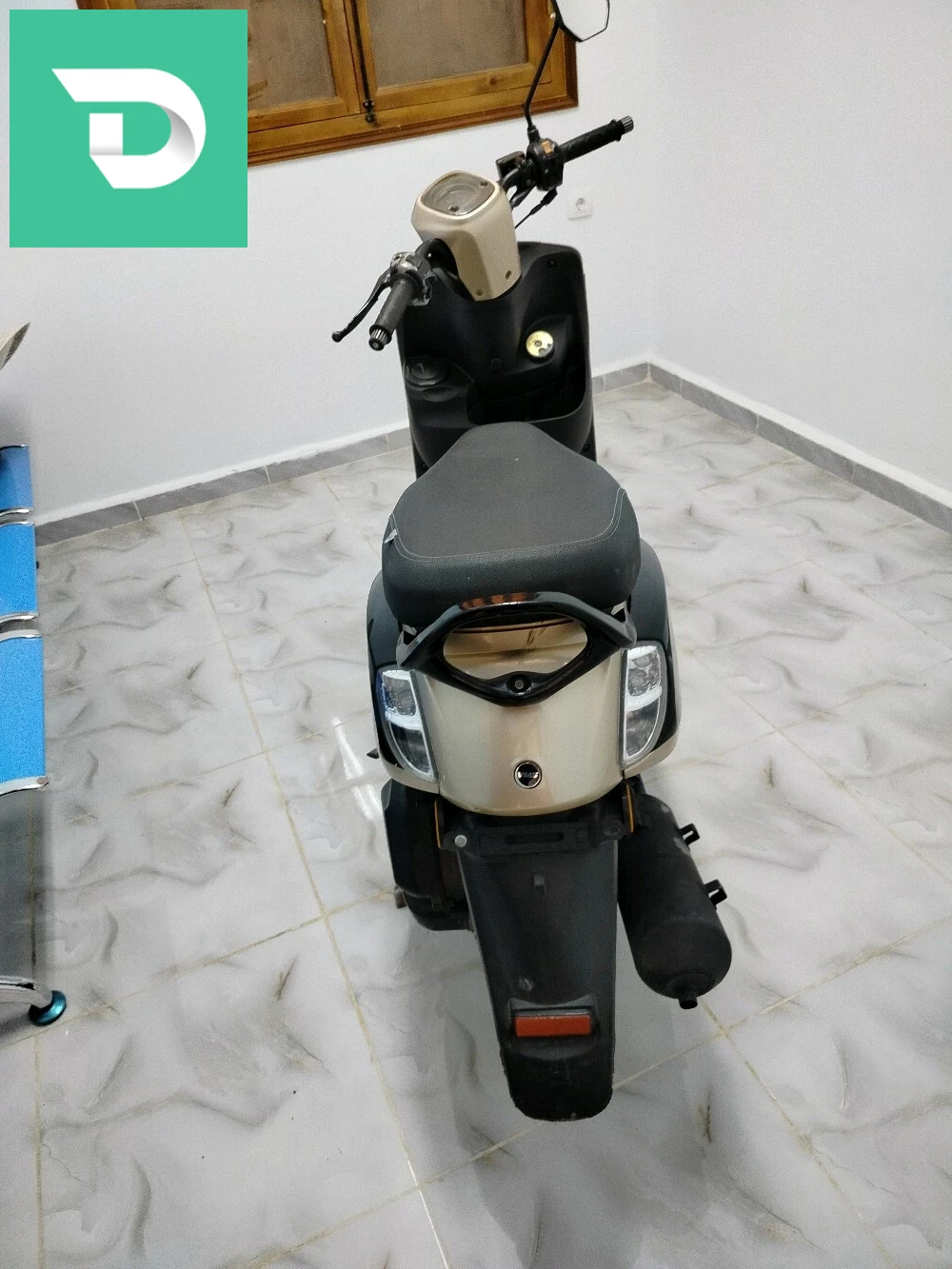 فيسبا 