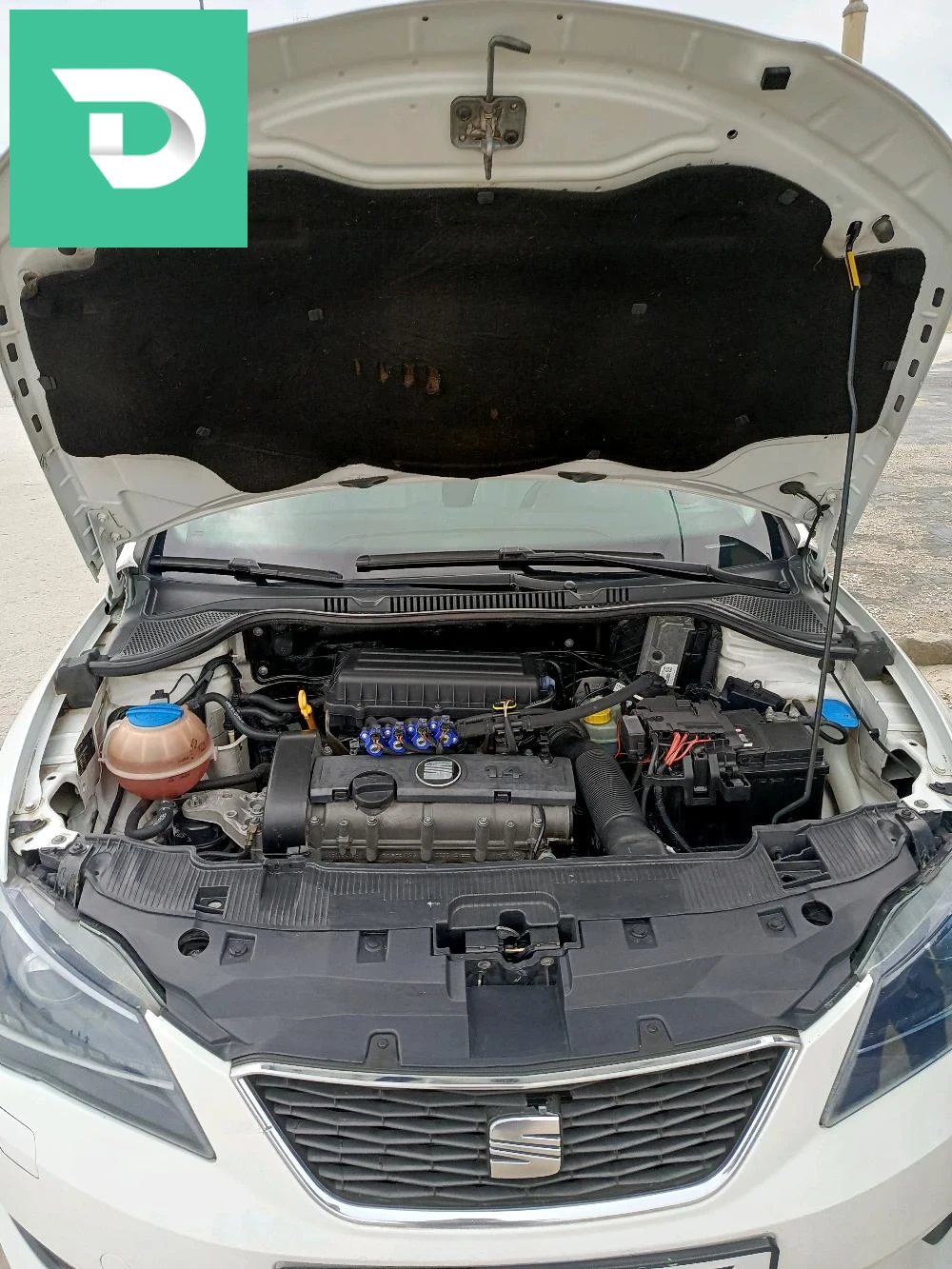 Seat Ibiza 2014 23 ANNABA 