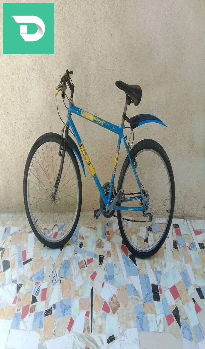 vélo merioa 