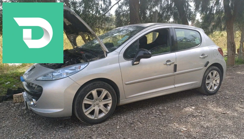 Peugeot 207 2009 23 ANNABA 