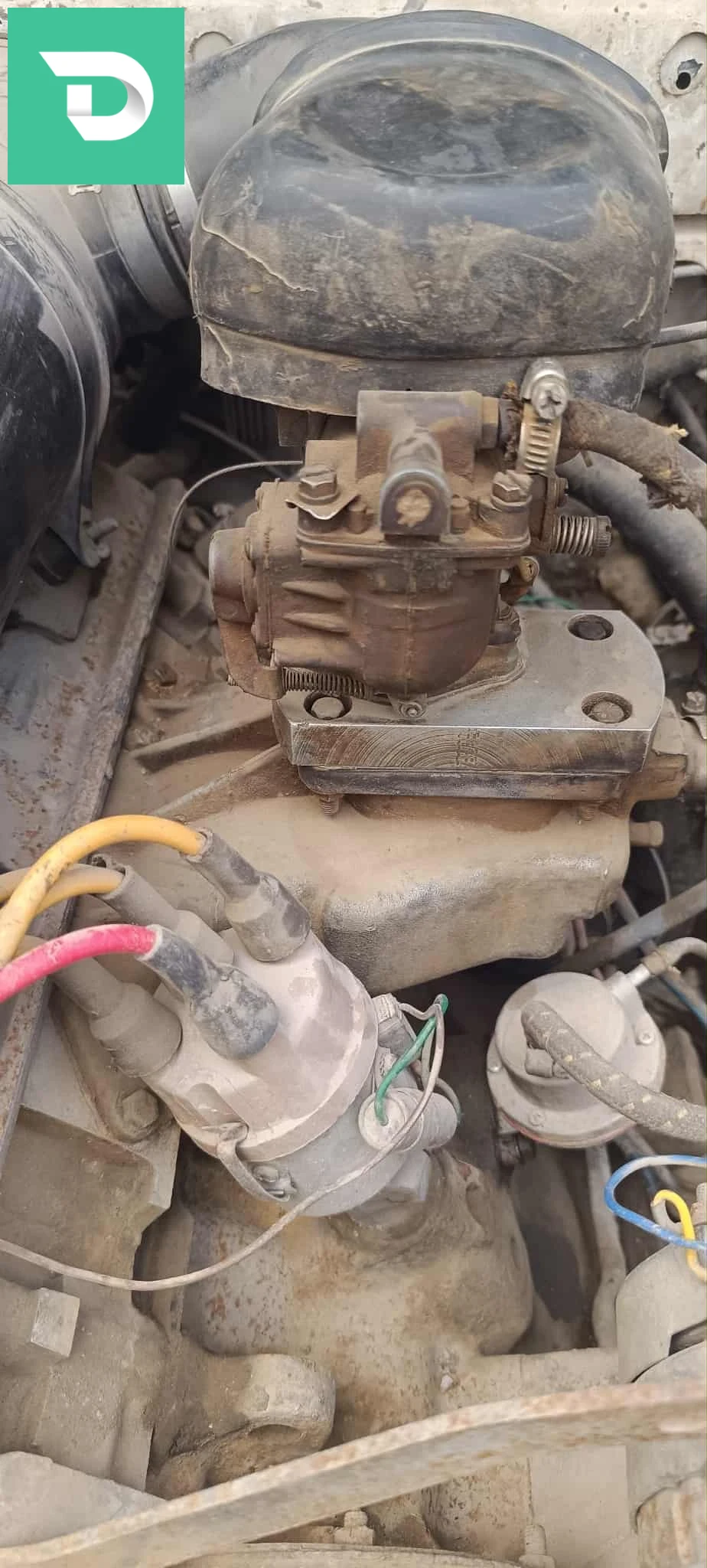 Peugeot 504 1983 6 BEJAIA 