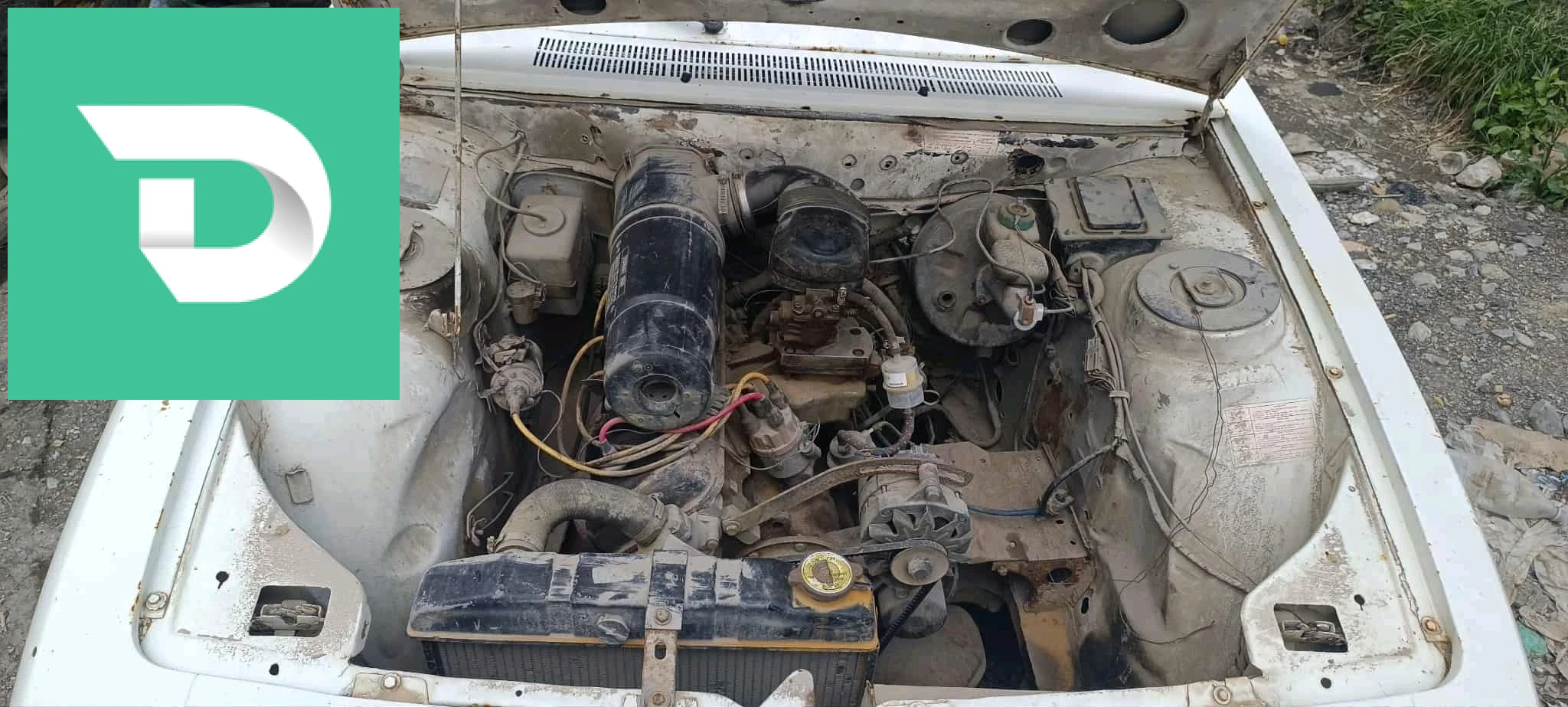 Peugeot 504 1983 6 BEJAIA 
