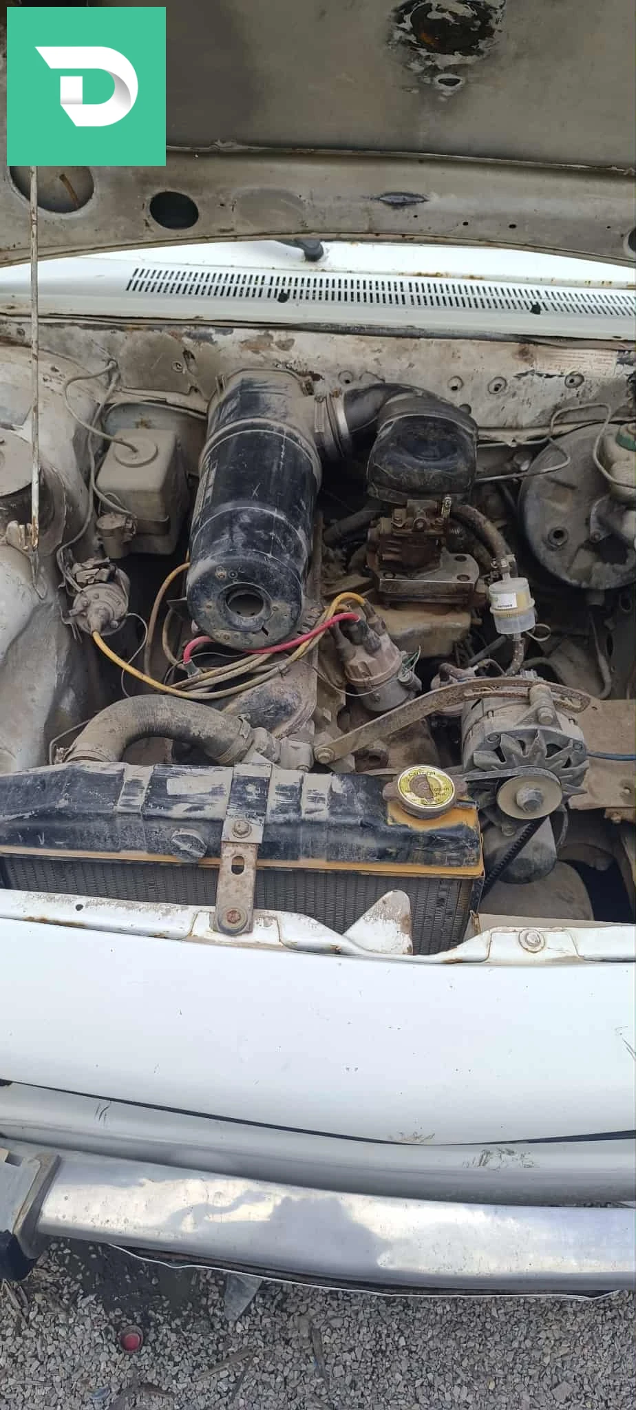 Peugeot 504 1983 6 BEJAIA 