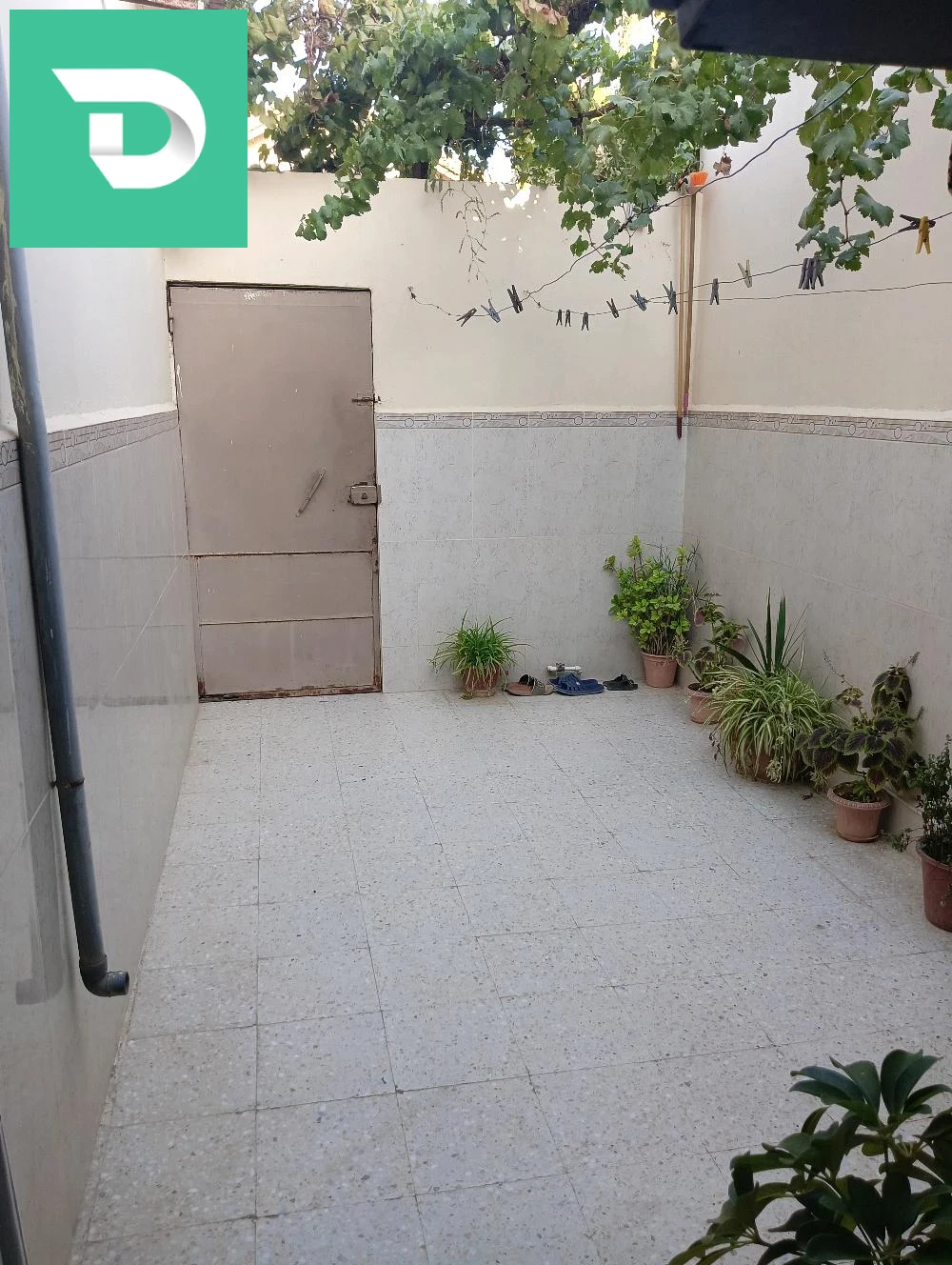 منير 