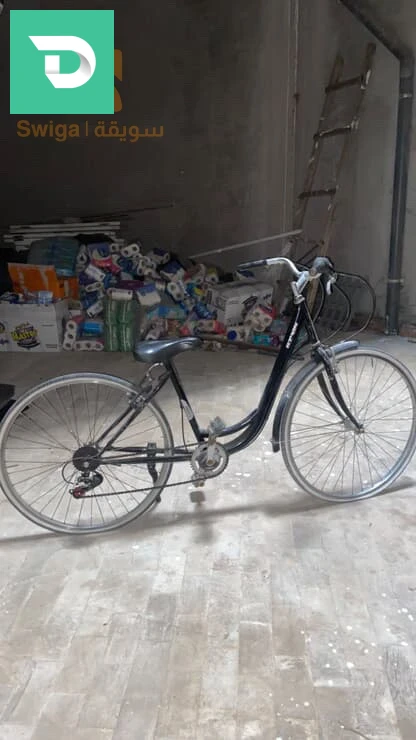 vélo, vitrine 