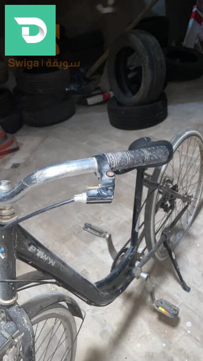 vélo, vitrine 