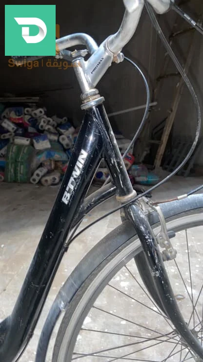 vélo, vitrine 