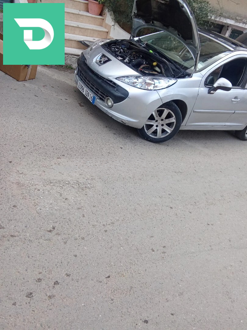 Peugeot 207 2009 Allure 