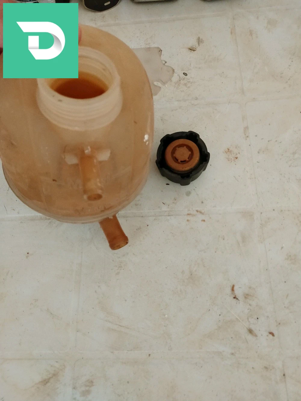 بيسطوات 1٫4 رونو دورجين و1٫6 رونو جدد و قرعة تاع الماء وبونبا تاع ليسونس 
