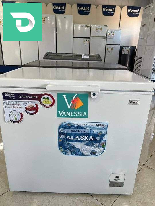 Congélateur marque géant 260 L 
