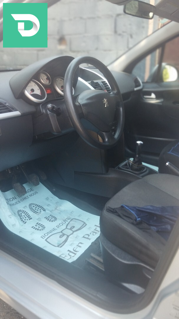 Peugeot 207 2010 Allure 