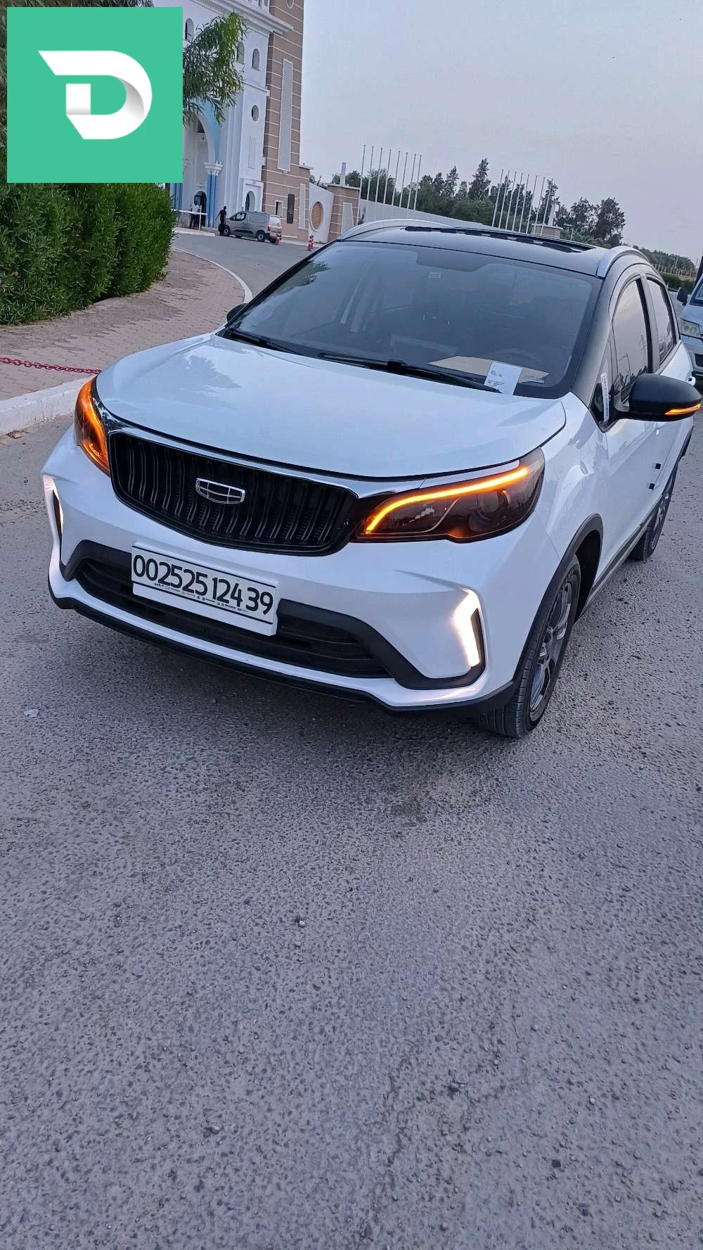 gelée 2024 39 EL OUED 