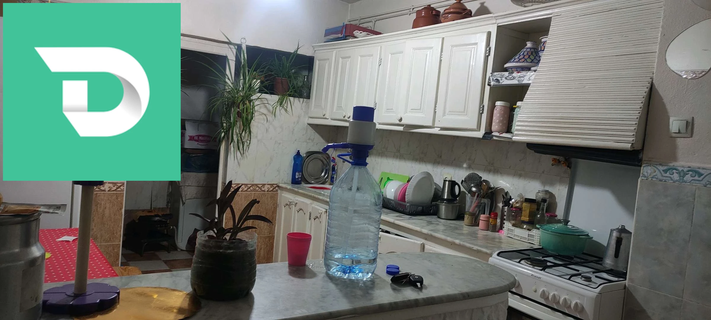 appartement a Djelfa ville 