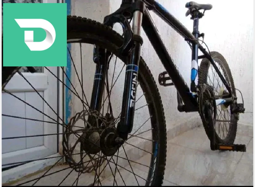 vilo pro bike 