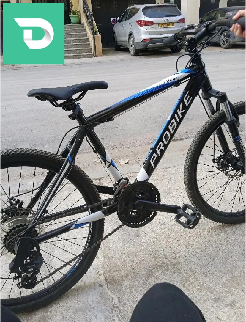 vilo pro bike 