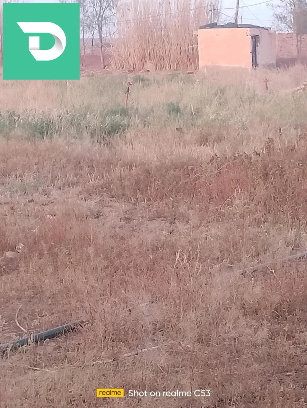 فيرمة تجارية زراعية للبيع 