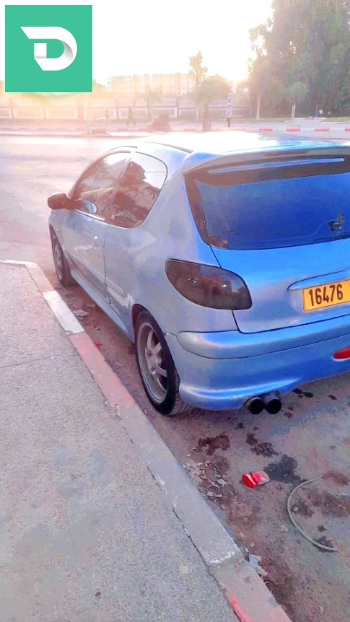 Peugeot 206 2002 9 BLIDA 