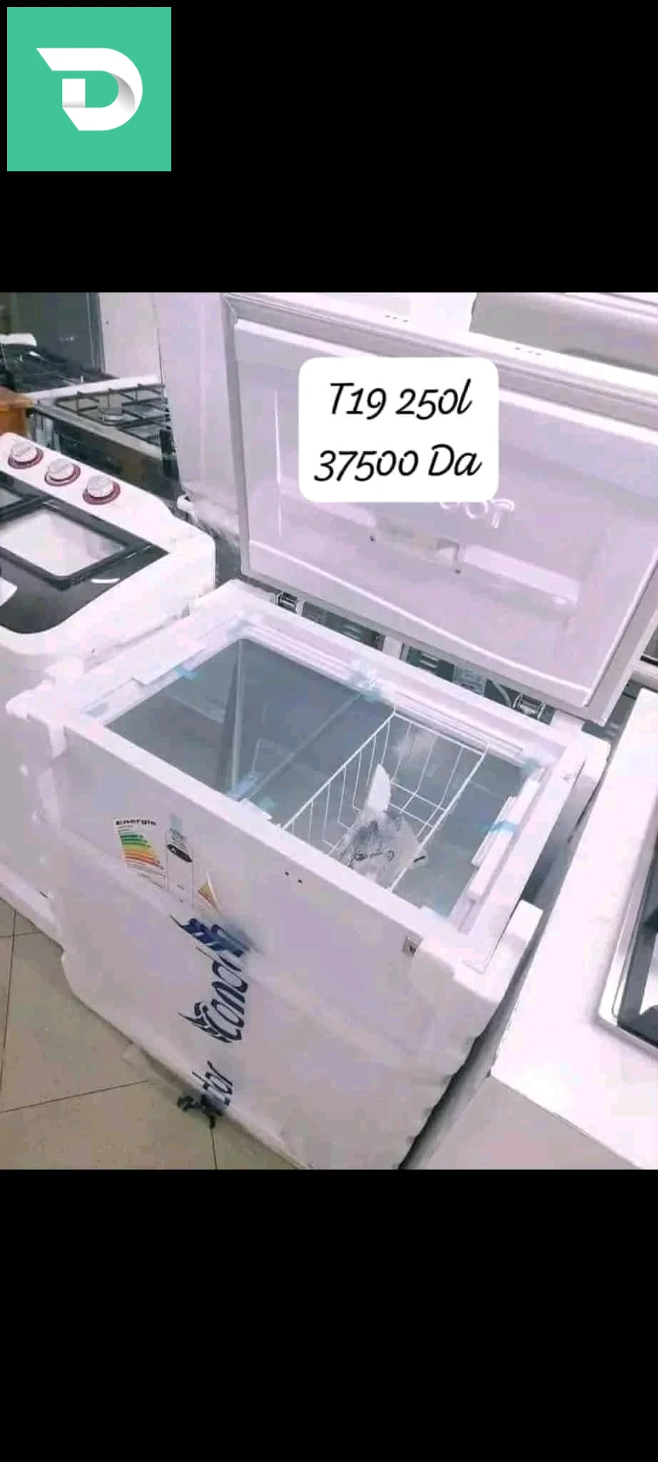 كوندور 
