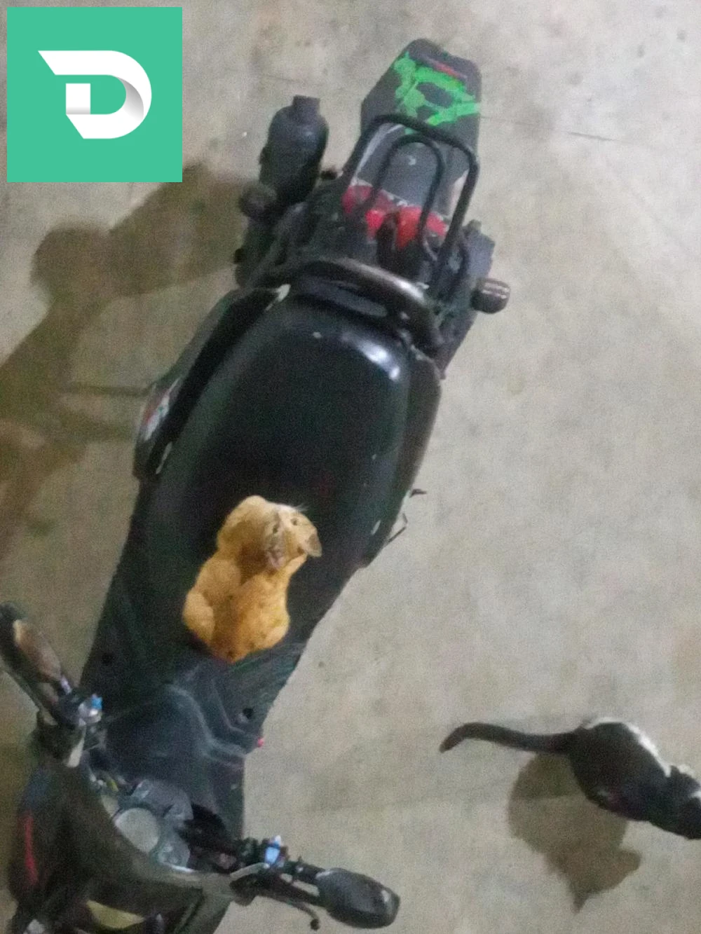 ninebot 
