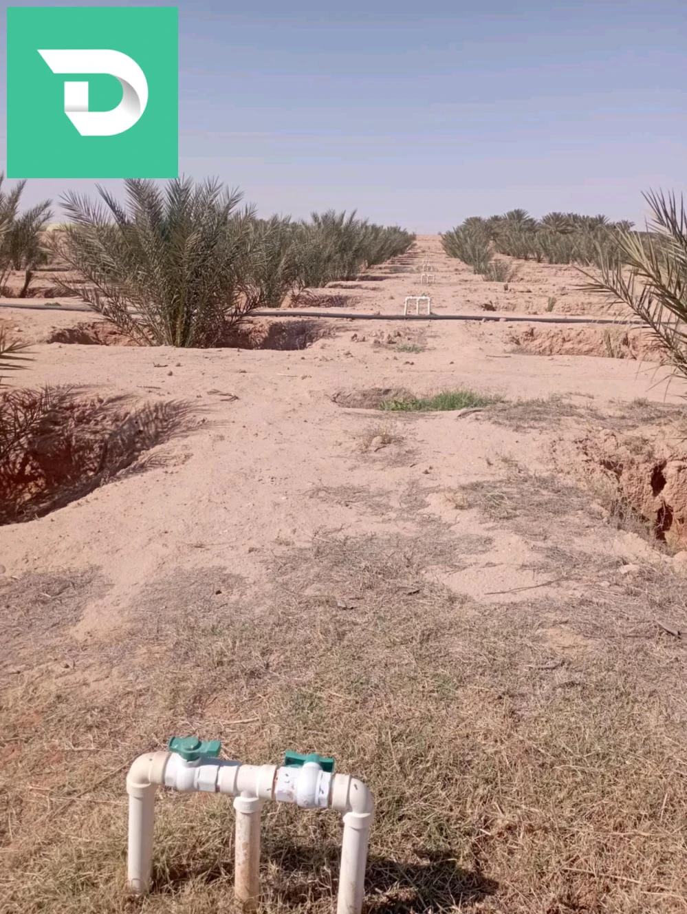 بيع 