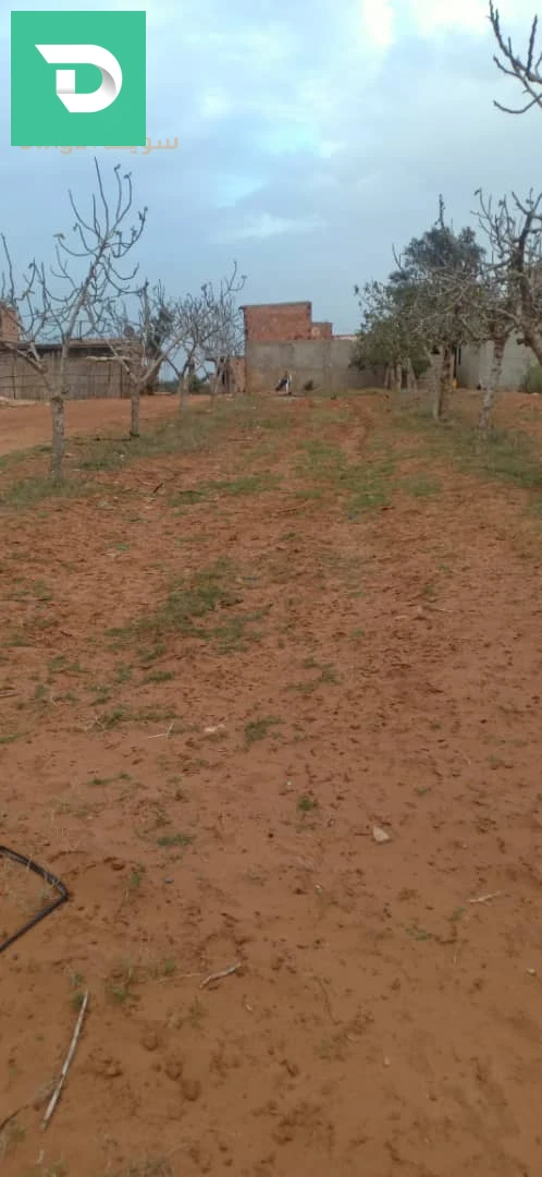 مبنى سكني ولاية تيبازة 
