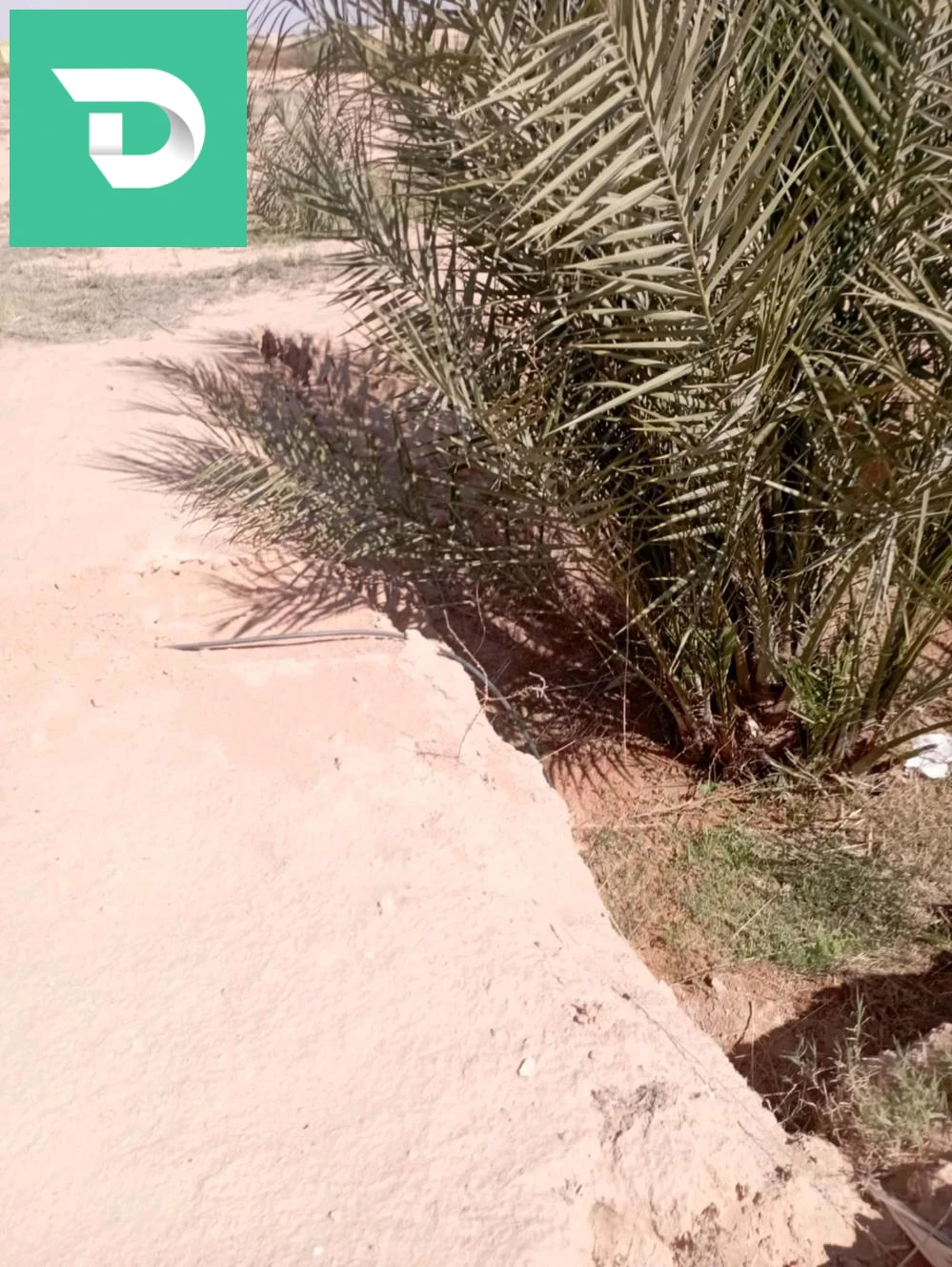 بلدية ليوة منطقة لقميق 