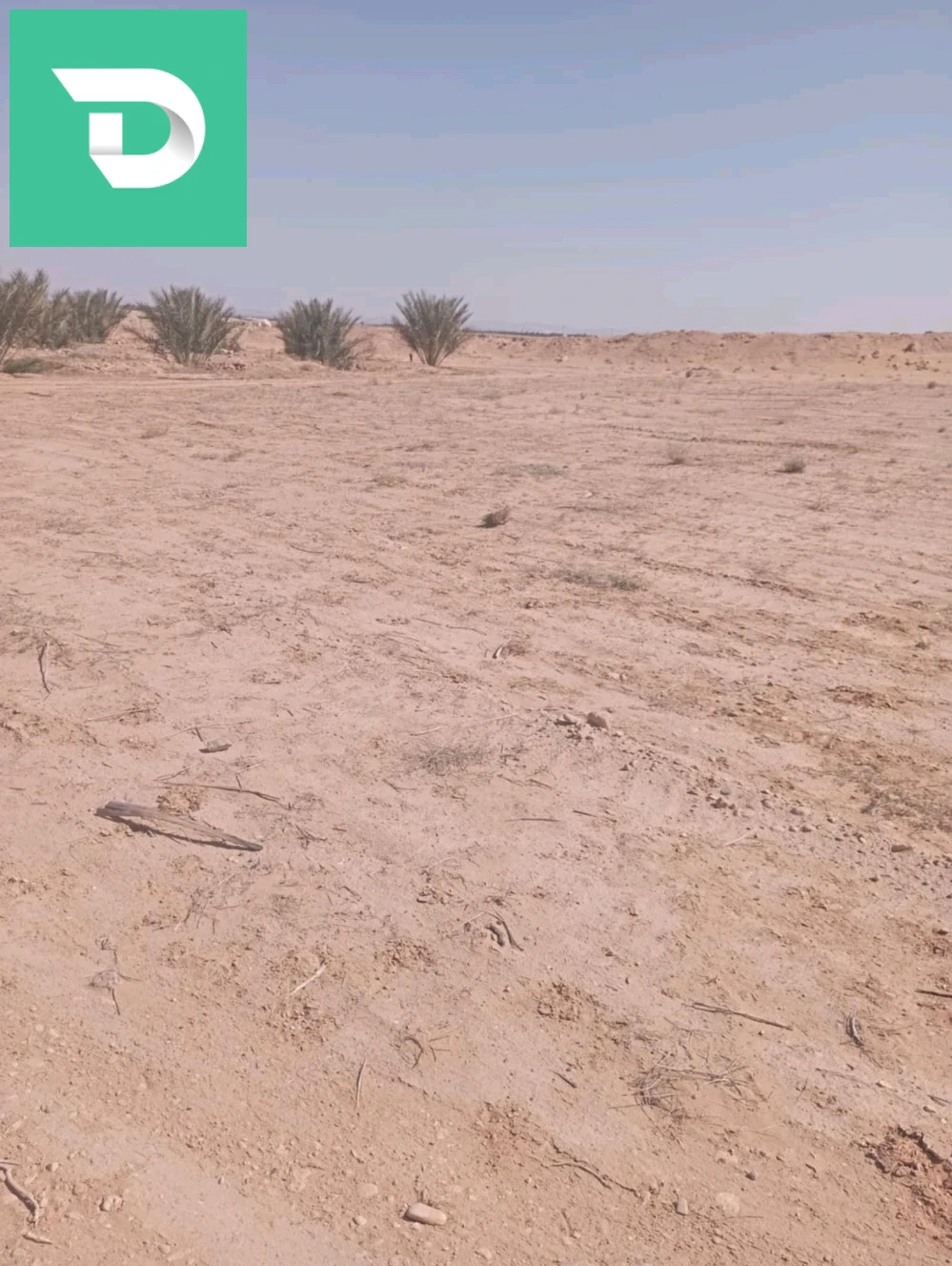 بلدية ليوة منطقة لقميق 
