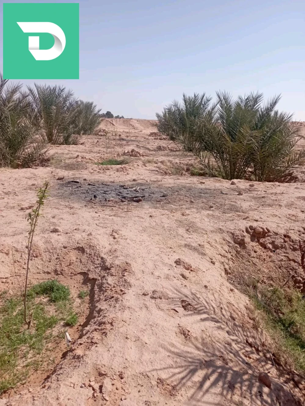 بلدية ليوة منطقة لقميق 