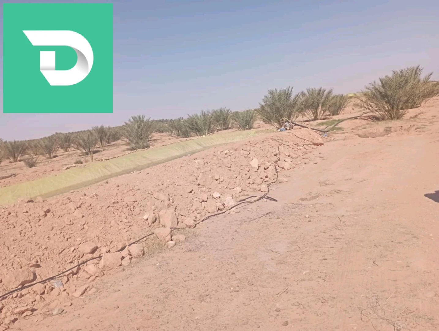 بلدية ليوة منطقة لقميق 