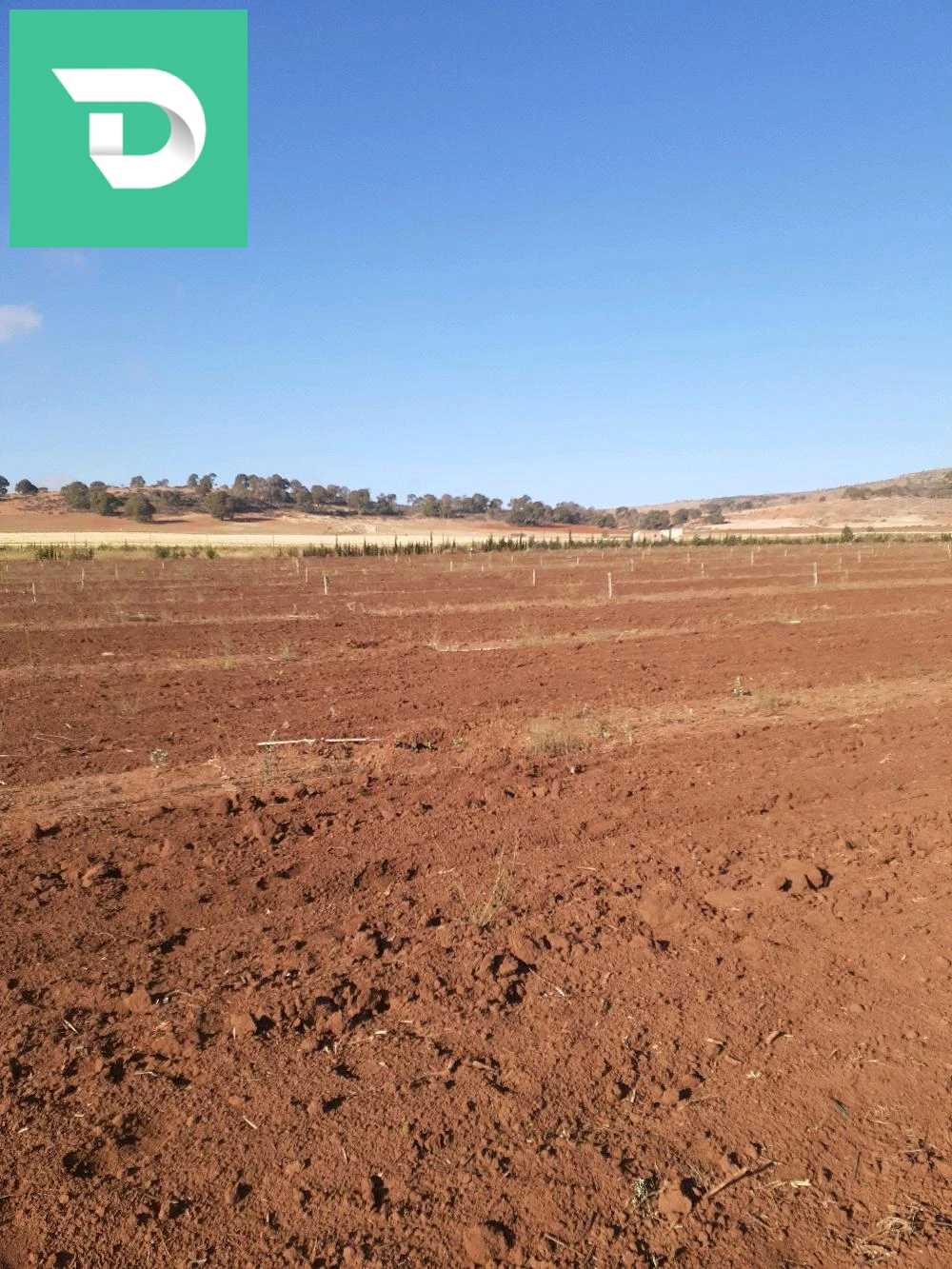 À vendre Les terres agricoles les chambres 22 SIDI BEL ABBES 