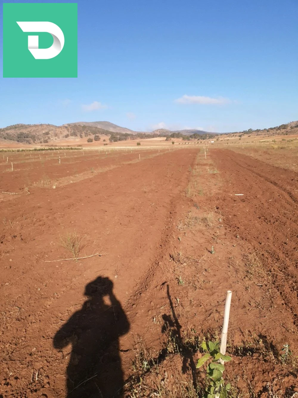 À vendre Les terres agricoles les chambres 22 SIDI BEL ABBES 
