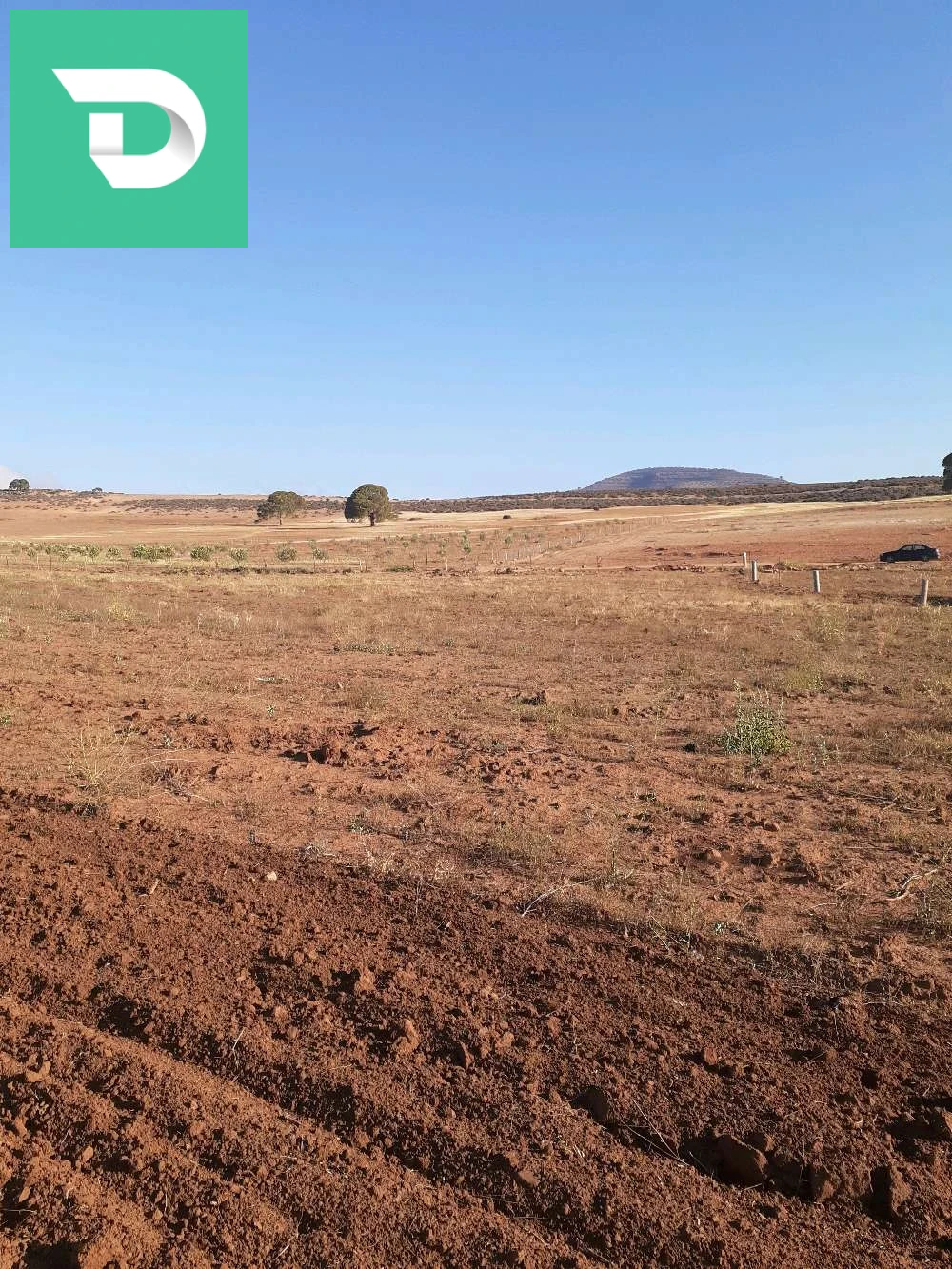 À vendre Les terres agricoles les chambres 22 SIDI BEL ABBES 