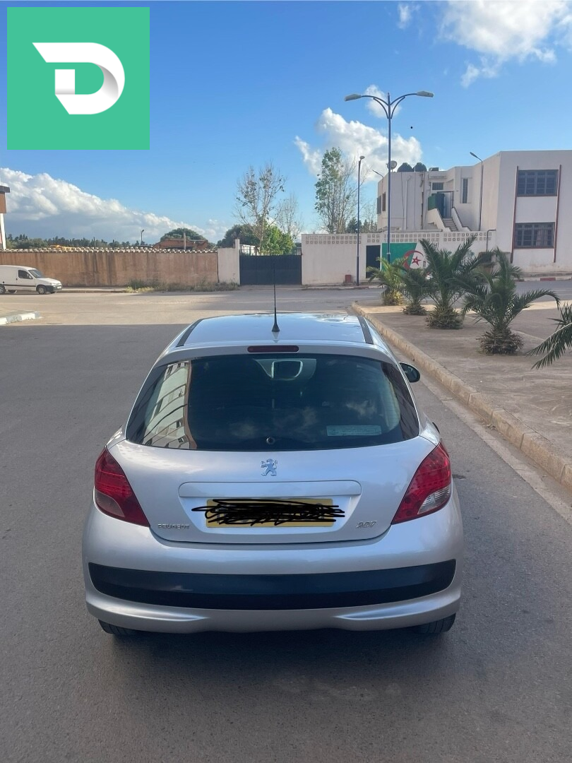 Peugeot 207 2011 Fennec 