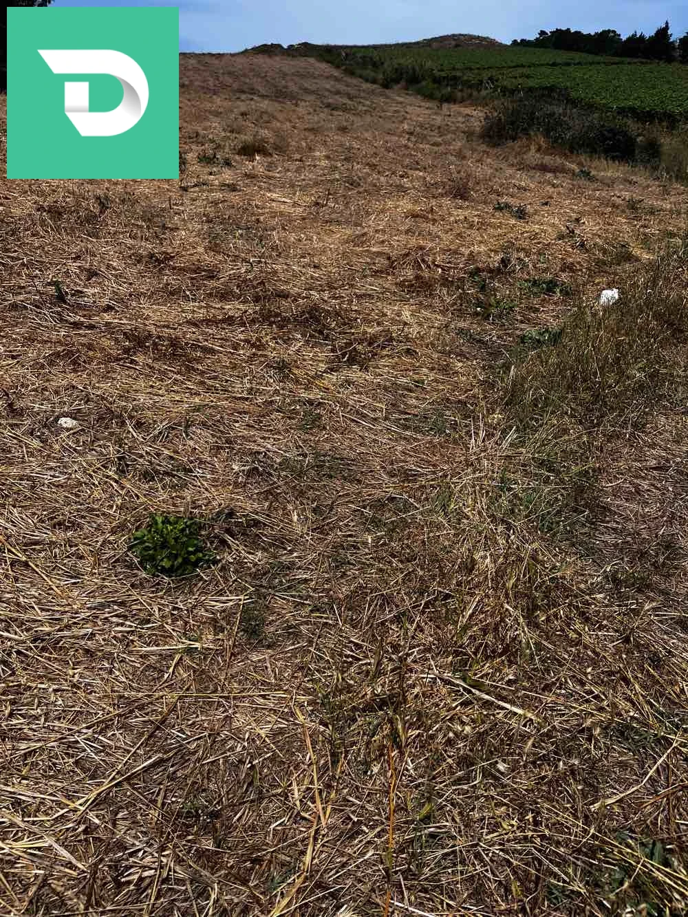 À vendre Les terres agricoles les chambres 35 BOUMERDES 